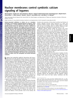 Nuclear membranes control symbiotic calcium signaling of legumes