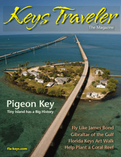 The Magazine - Fla