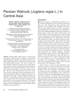 Persian Walnuts (Juglans regia L.) in Central Asia