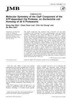 Communication: Molecular Symmetry of the ClpP Component of the