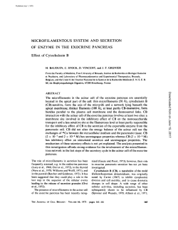 MICROFILAMENTOUS SYSTEM AND SECRETION OF ENZYME IN