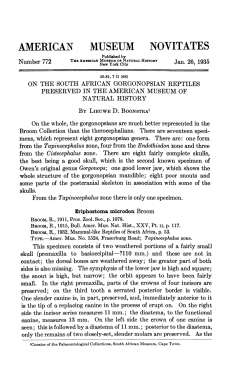 american museum novitates - AMNH Library Digital Repository