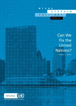 Can We Fix the United Nations? - World Federalist Movement