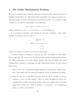3 The Utility Maximization Problem
