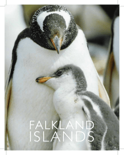 81925 Falklands Final