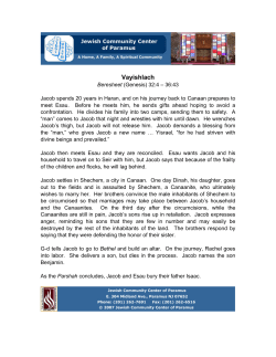 Vayishlach - JCC of Paramus