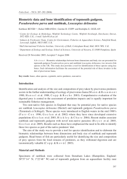 Biometric data and bone identification of topmouth gudgeon