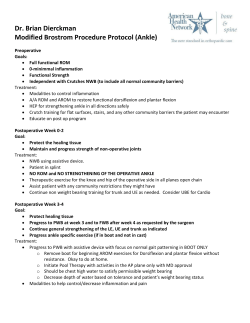 Modified Brostrom Procedure Rehab