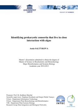 Identifying prokaryotic consortia that live in close interaction with algae