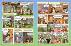 15 V ` DRRR , SF , BH , BB . S . T - . B . T