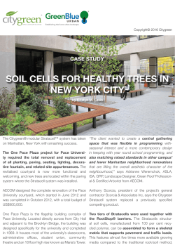 soil cells for healthy trees in new york city