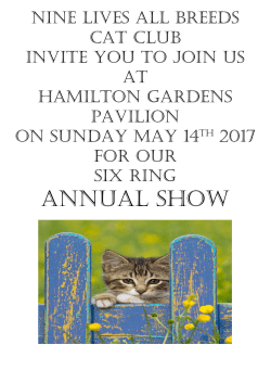 Nine lives all breeds cat club