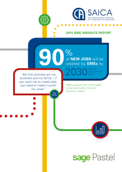 2015 SME Insights Report