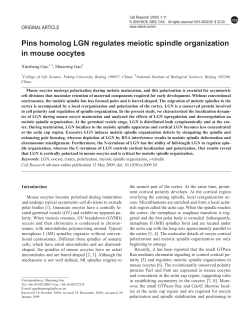 Pins homolog LGN regulates meiotic spindle organization in mouse