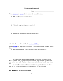 Echolocation Homework