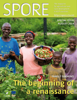 The beginning of a renaissance - Spore Magazine