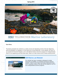 NEW Marine Lab Website! Huge Squid Draws Crowds at the Lab