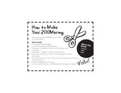 How to Make Your ZOOMerang