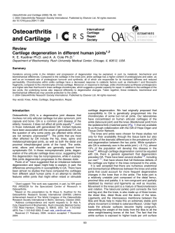 Review Cartilage degeneration in different human joints