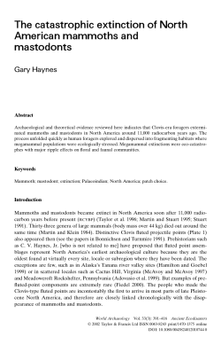 Haynes 2002