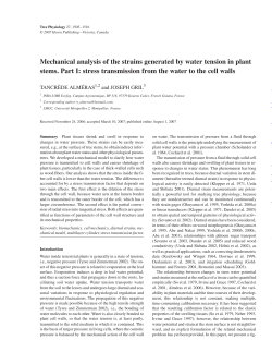 Mechanical analysis of the strains generated by water tension in