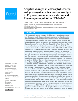 Adaptive changes in chlorophyll content and photosynthetic