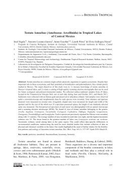 Testate Amoebae (Amebozoa: Arcellinida) in Tropical Lakes of
