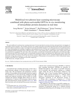 Multifocal two-photon laser scanning microscopy combined with