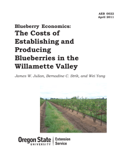 Blueberry Economics: The Costs of Establishing and
