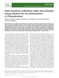 State transitions redistribute rather than dissipate energy between