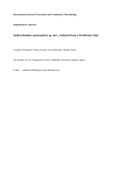 Sulfurirhabdus autotrophica sp. nov., isolated from a freshwater lake