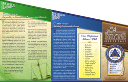 Core Professional Alliance Skills Core Professional Alliance Skills