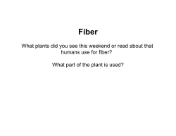Fiber