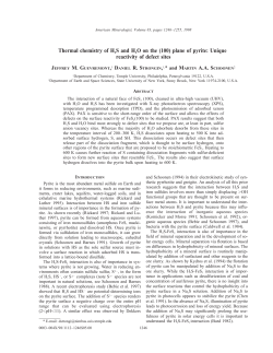 Thermal chemistry of H2S and H2O on the (100) plane of pyrite