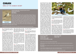 birds of the arabian desert