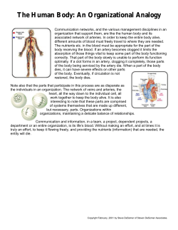 Communication networks and the various management disciplines