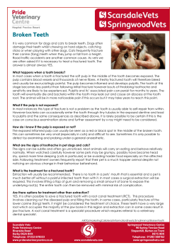 It is very common for dogs and cats to break teeth. Dogs often