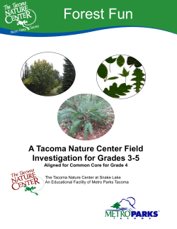 the teacher`s packet here.