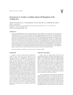Occurrence of Noctiluca scintillans bloom off Mangalore in the