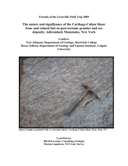 The nature and significance of the Carthage