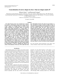 Generalization of convex shapes by bees