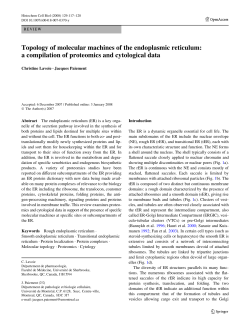 Topology of molecular machines of the endoplasmic reticulum: a