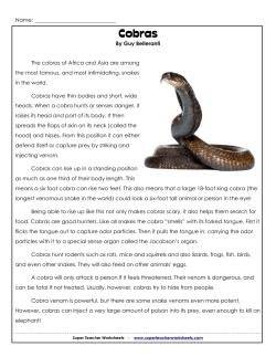 Cobras - Super Teacher Worksheets
