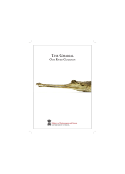Gharial in Mythology
