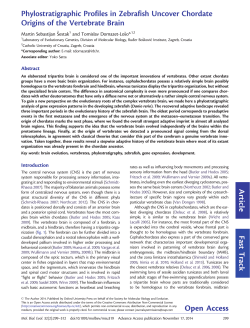 Phylostratigraphic Profiles in Zebrafish Uncover Chordate