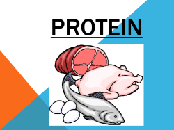 Protein Unit Notes Power point