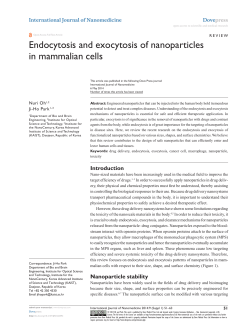 endocytosis and exocytosis of nanoparticles