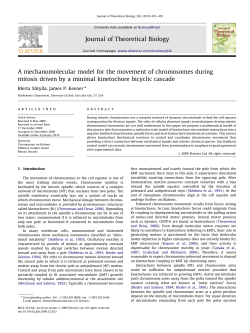 A mechanomolecular model for the movement of chromosomes