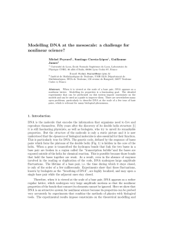 Modelling DNA at the mesoscale: a challenge for nonlinear science?