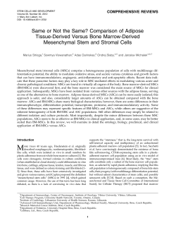 Same or Not the Same? Comparison of Adipose Tissue